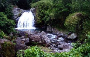 Blue Mountain Waterfalls Jamaica
