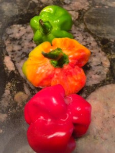 scotch bonnet pepper