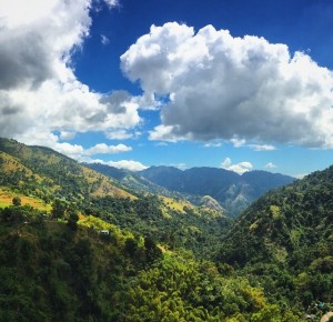 Jamaica Blue Mountains