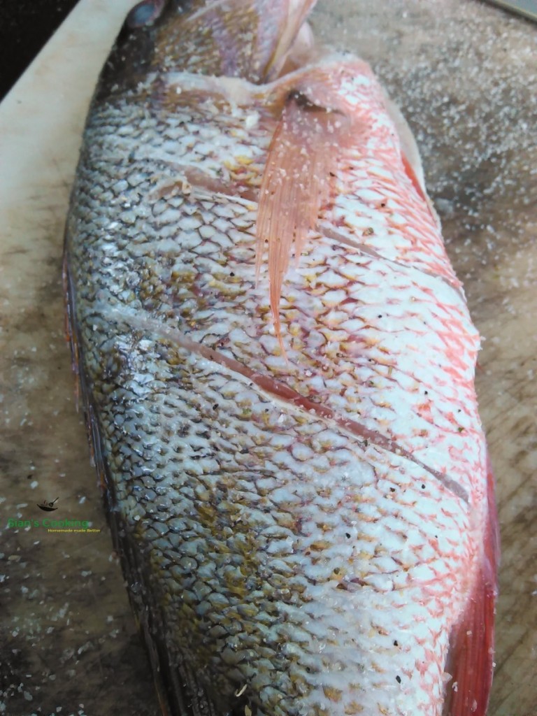 whole snapper fish