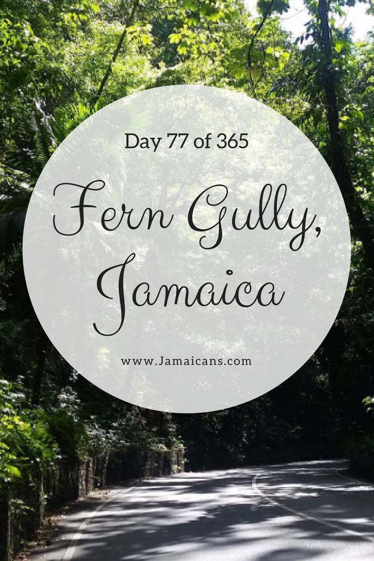 Day 42 of 365 Things to Do, See & Eat in Jamaica - Bring Out Your