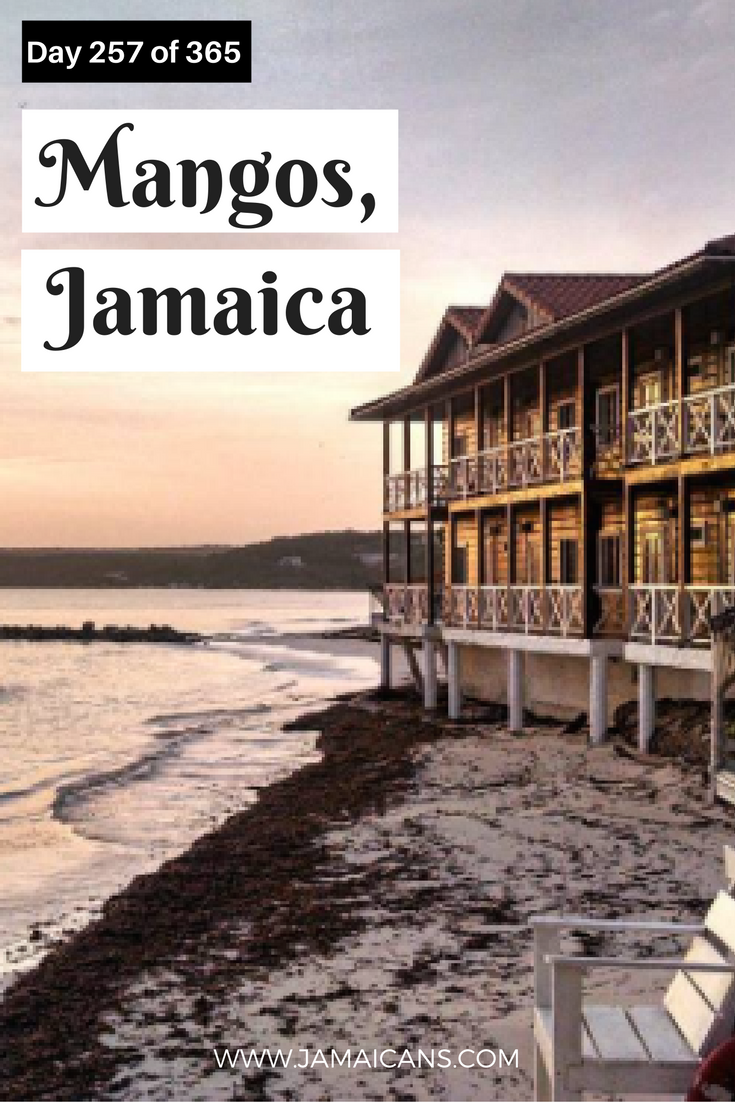 day-257-of-365-things-to-do-in-jamaica