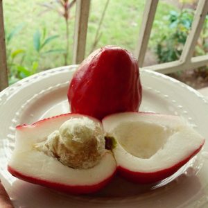 Fruits Jamaicans Love - Otaheite Apple via tarabarrra
