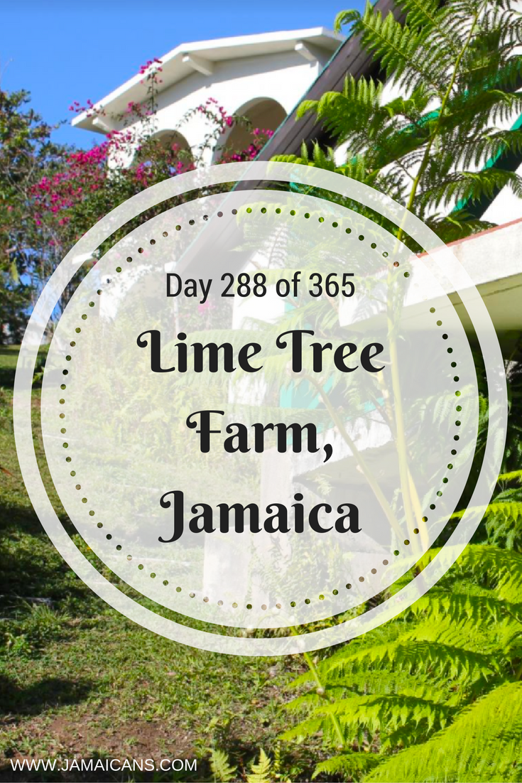 day-288-of-365-things-to-do-in-jamaica