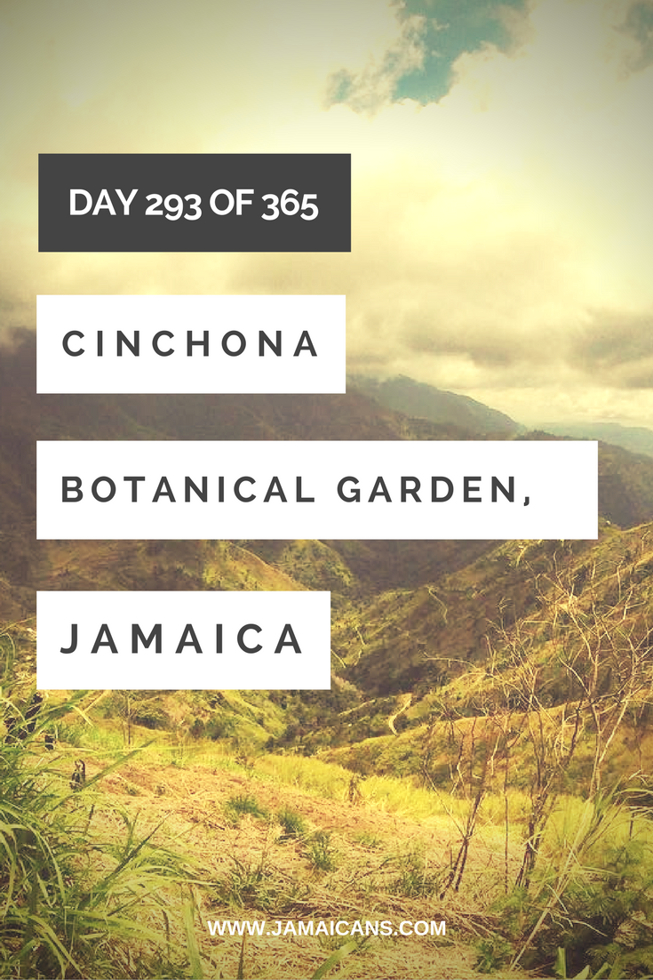 day-293-of-365-things-to-do-in-jamaica