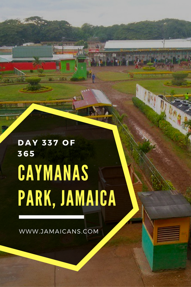 day-337-of-365-things-to-do-in-jamaica