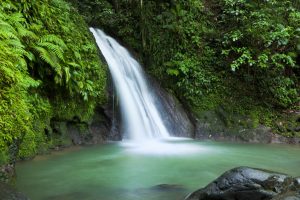 Things to do and see in Guadeloupe