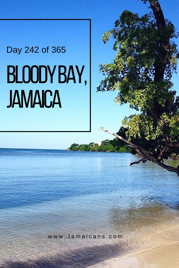 Day 42 of 365 Things to Do, See & Eat in Jamaica - Bring Out Your