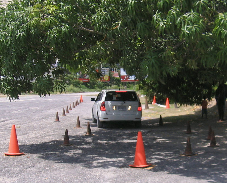 In Just Seven Years The Procedure For Obtaining A Jamaican Driver S