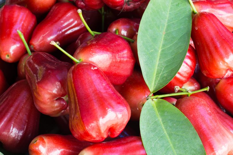 10 Benefits You Need to Know About Otaheite Apple