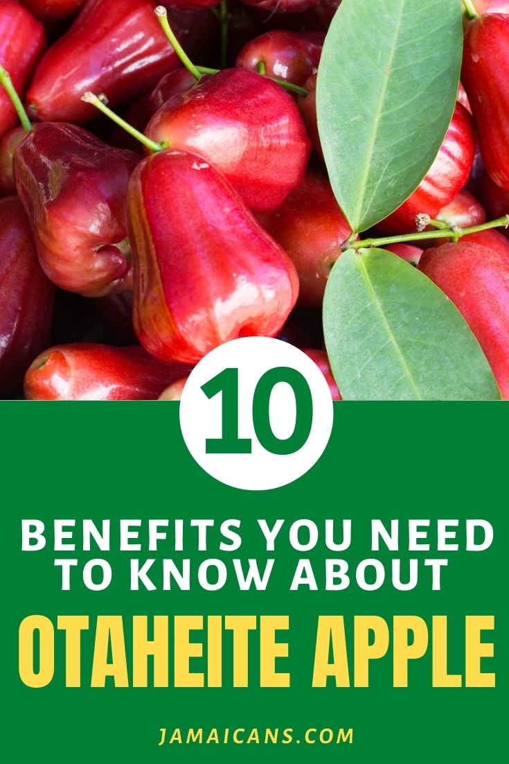 10 Benefits you Need to Know about Otaheite Apple