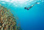 10 Best Places to Snorkel in Jamaica