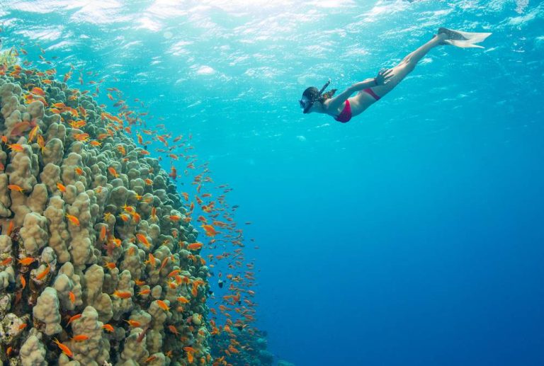 10 Best Places to Snorkel in Jamaica