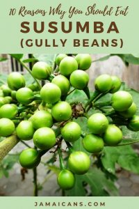 10 Reasons Why You Should Eat Susumba Gully Beans