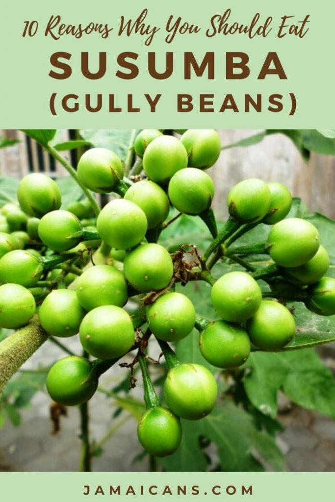 10 Reasons Why You Should Eat Susumba (Gully Beans) Jamaicans and Jamaica