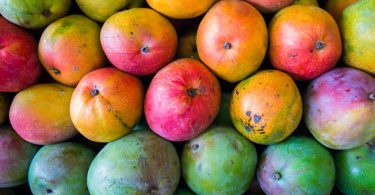 Jamaica to Increase Shipment of Mangoes  to USA and Other Countries
