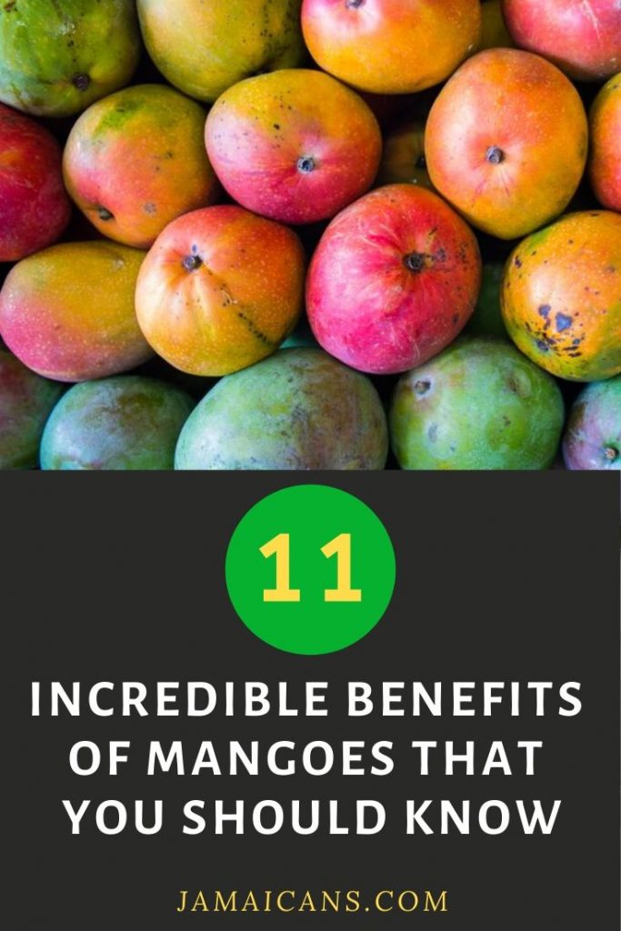 11 Incredible Benefits of Mangoes That You Should Know Jamaicans and