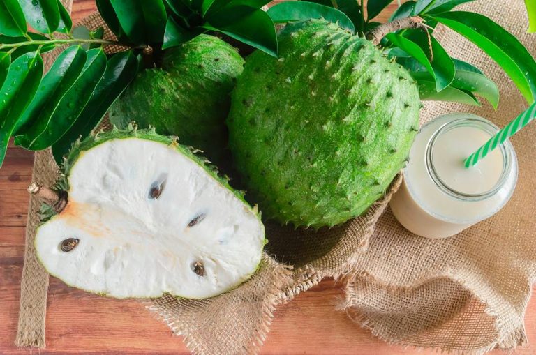 12 Benefits of Soursop