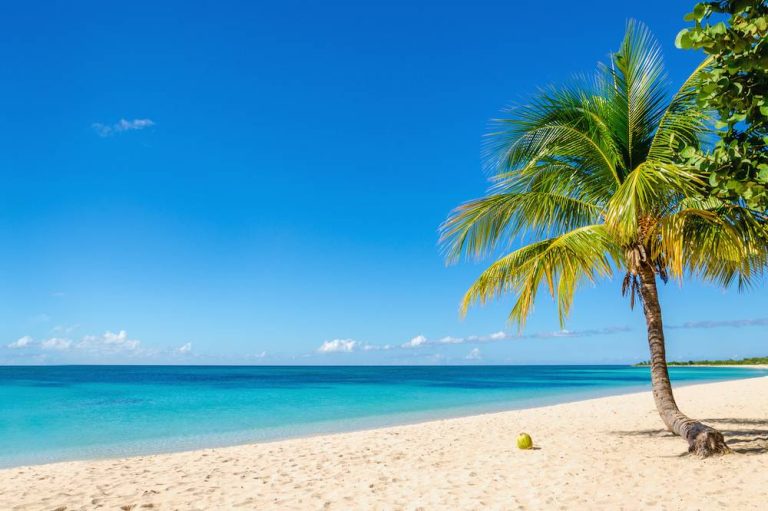 13 Things to Know About the Beach Stolen in Jamaica in 2008