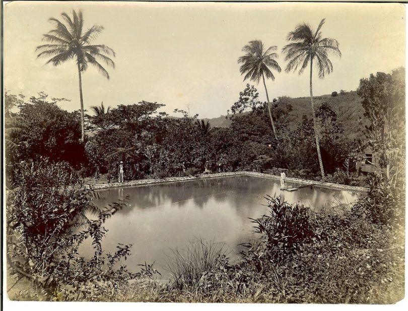 20 Rare Photos of the 1907 Kingston, Jamaica Earthquake at Island Space Caribbean Museum