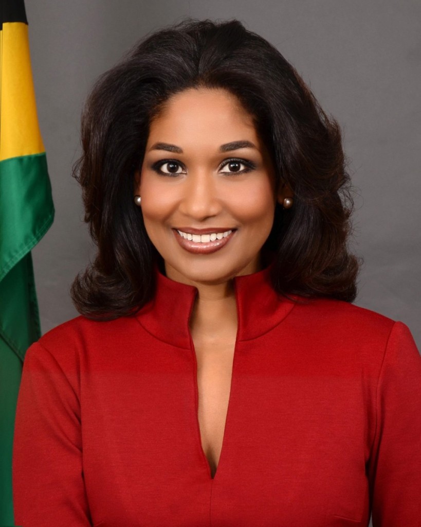 lisa hanna miss world 1993