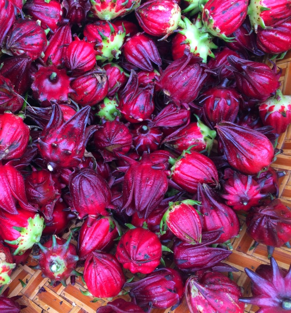 Sorrel health benefits