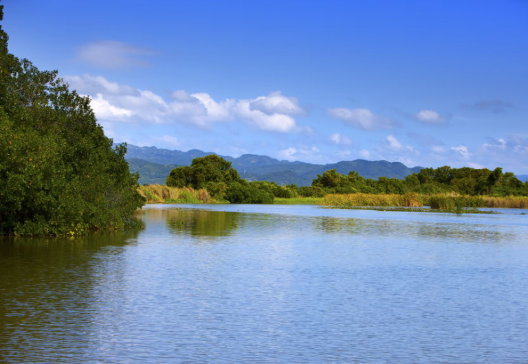 Black River, Jamaica
