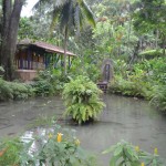 Coyaba River Garden And Museum