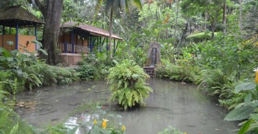 Coyaba River Garden And Museum