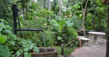 Coyaba River Garden And Museum