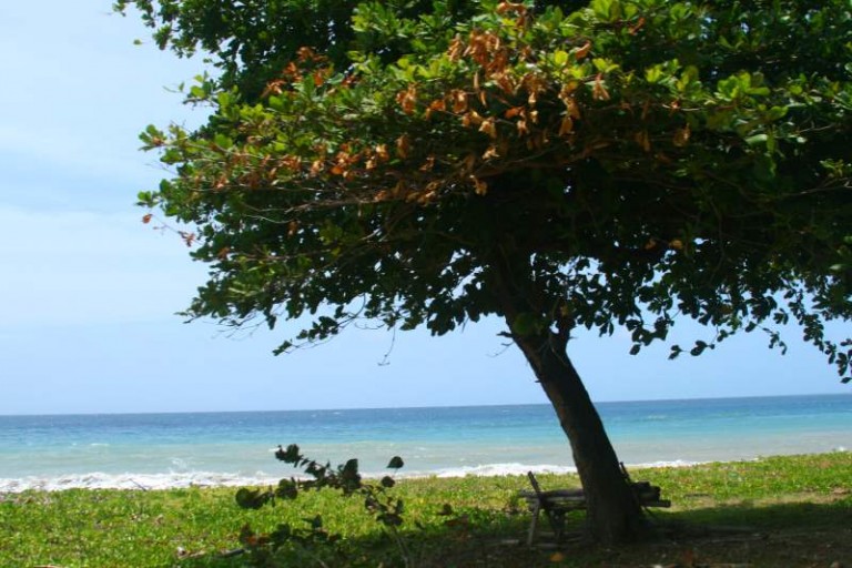Jamaica 3rd most visitors in Caribbean