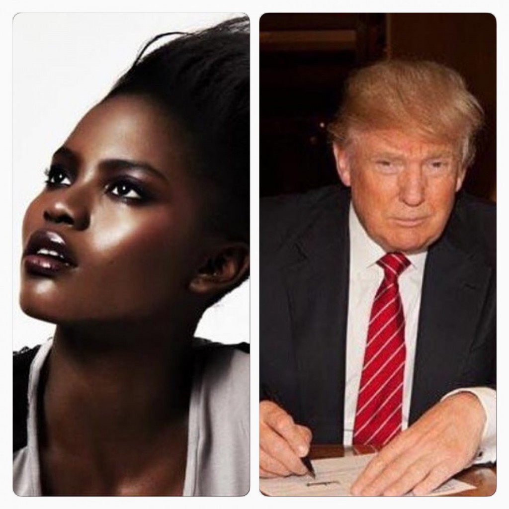 Alexia Palmer Sues Donald Trump Company