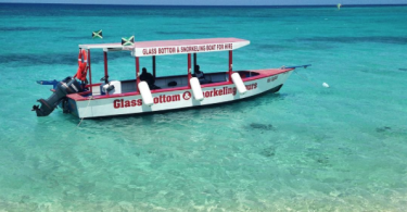 Glass-Bottom Boat