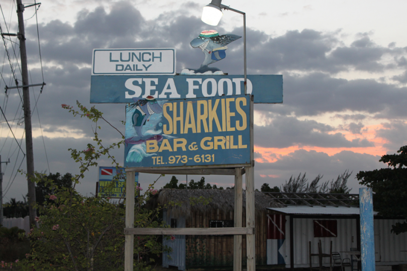 Sharkey's Jamaica