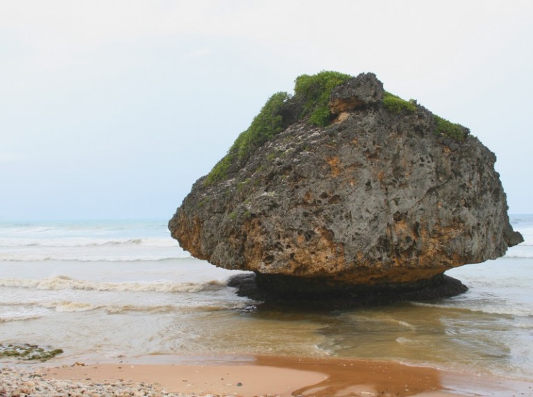 Barbados photo by X Murphy
