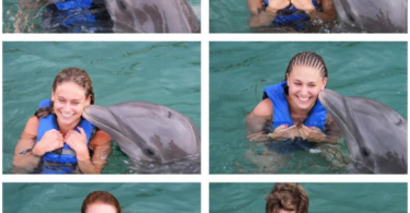 Dolphin Cove, Jamaica
