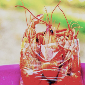 7 Amazing Jamaican Street Foods You Must Try - Jamaicans and Jamaica ...