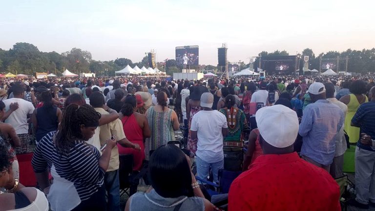 Groovin' In The Park by Doreen Smith
