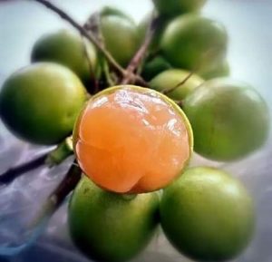 Frutas que aman los jamaicanos - Guinep vía mae27livinglife