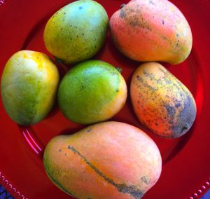 Jamaikanische Früchte - Mango