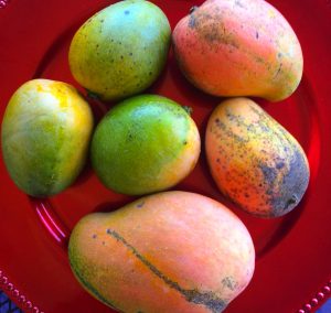 Fruits jamaïcains - Mangue