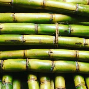Früchte, die Jamaikaner lieben - Zuckerrohr via guarapo_uk