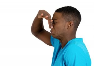 You Don't Want A Jamaican to say "Yuh Mowly"