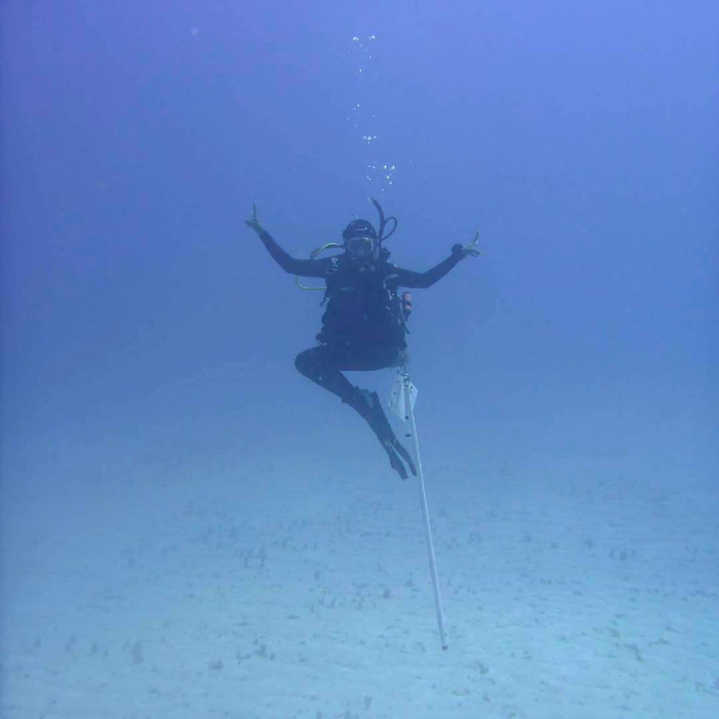 Pedro Bank