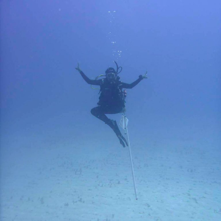 Pedro Bank