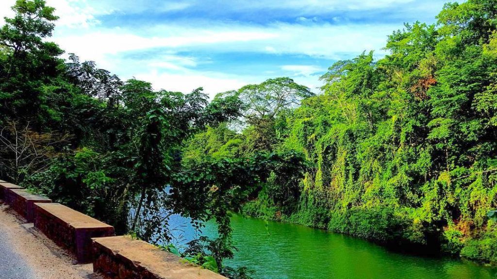 Flat Bridge