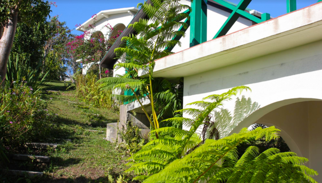 Lime Tree Farm