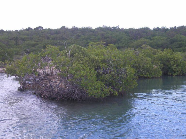 Portland Bight Protected Area