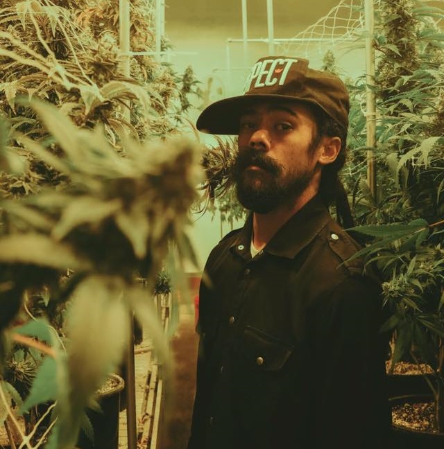 Prison Site to Pot Farm Damian Marley Converts California Facility to Cannabis Grow.jpg