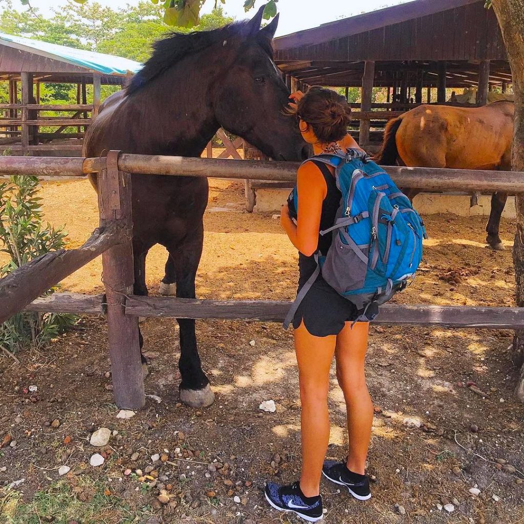 Horseback Ride